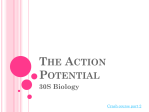 The Action Potential