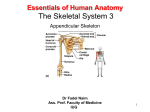 Essentials of Human Anatomy 6