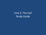 Unit 3: The Cell Study Guide