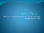 Immune System - Mayfield City Schools