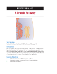 A Protein Pathway