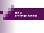 Zinc finger proteins