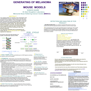 polymerase chain reaction (pcr)