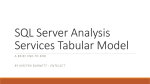 SQL Server Analysis Services Tabular Model