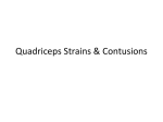 Quadriceps-Strains-Constusions-Handout
