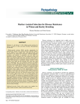 Marker-Assisted Selection for Disease Resistance in Wheat and