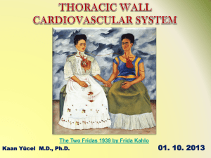 Thoracic wall - yeditepe anatomy fhs 121