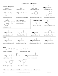 Amino Acid Sidechains