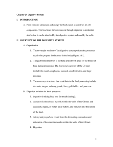 ch24 Digestive System