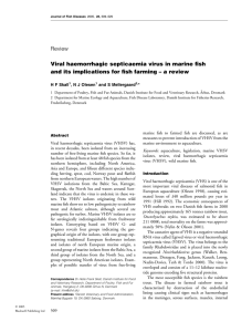 Viral haemorrhagic septicaemia virus in marine fish and its