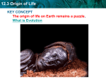 12.3 Origin of Life