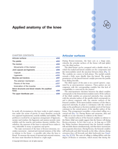 Applied anatomy of the knee - A System of Orthopaedic Medicine