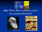 Evolution 3 Natural Selection