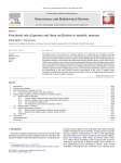 Functional role of gamma and theta oscillations in episodic memory