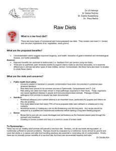 SA Raw Diets - Tangle Foot Vet