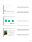 MODELS OF SPECIATION Sympatric Speciation: MODEL OF