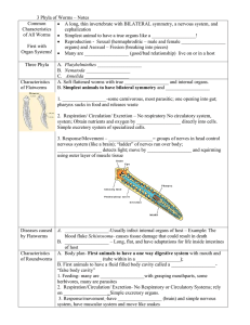 3 Phyla of Worms – Notes - Effingham County Schools