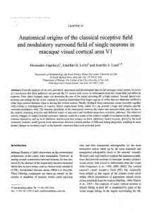 Anatomical origins of the classical receptive field and modulatory