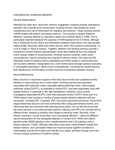 Spatial Working Memory