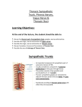 Thoracic Sympathetic Trunk, Phrenic Nerves, Vagus Nerve
