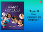 Human Genetics - Chapter 10