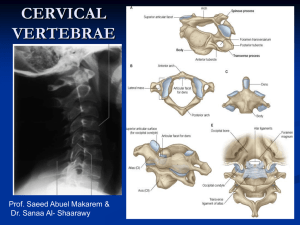 Lecture 4 - cervical spines (2012).