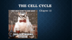 The Cell cycle