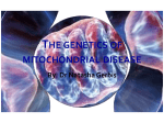 Genetics of mitochondrial disease