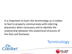 Terminology - Dr. Comfort