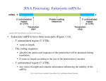 RNA Processing: Eukaryotic mRNAs