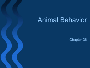 Animal Behavior