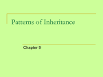 Patterns of Inheritance - Madison County Schools