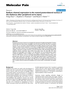 Sodium channel expression in the ventral posterolateral nucleus of