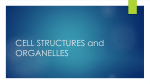 CELL STRUCTURES