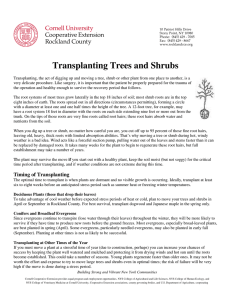 Transplanting Trees and Shrubs - Cornell Cooperative Extension