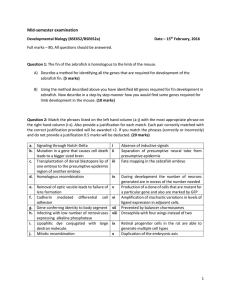 Mid-semester examination Developmental Biology (BSE652