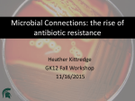 Microbial Connections: The Rise of Antibiotic Resistance