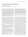 Functional Retinotopy of Monkey Visual Cortex