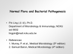 Pathogenesis of Bacterial Infectious Diseases