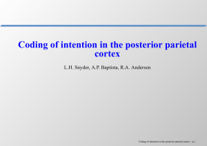 Coding of intention in the posterior parietal cortex