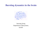 Presentation materials - Brain Dynamics Laboratory