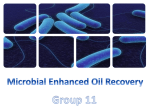 Microbial Enhanced Oil Recovery Group 11