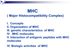 MHC ( Major Histocompatibility Complex)