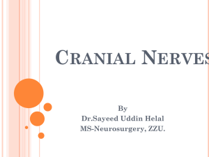 Summary of Function of Cranial Nerves