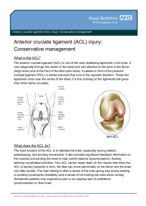 Anterior cruciate ligament (ACL) injury
