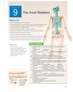 9 The Axial Skeleton - Pearson Higher Education
