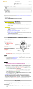 Spinal Stenosis - Viktor`s Notes for the Neurosurgery Resident