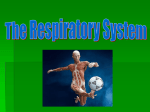 The Respiratory System - BIOLOGY and HONORS PHYSIOLOGY Mr