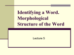 WHAT`S IN A WORD? MORPHOLOGICAL STRUCTURE OF THE