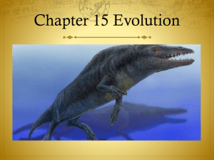 Chapter 15 study guide